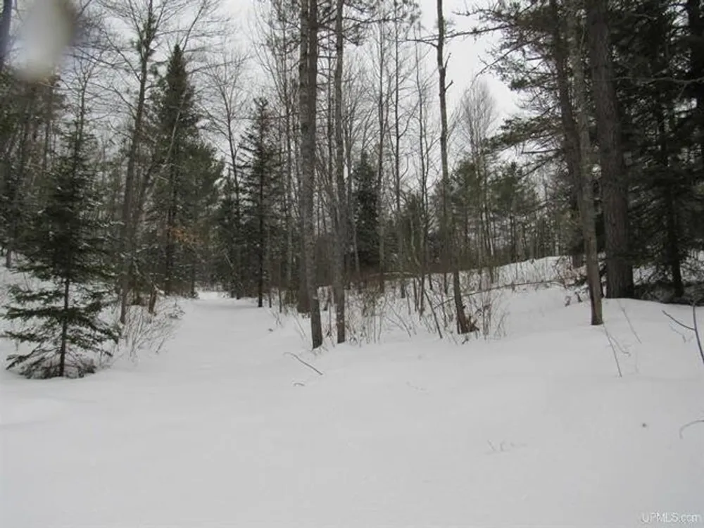 TBD FFR 2127K Road Iron River, MI 49935
