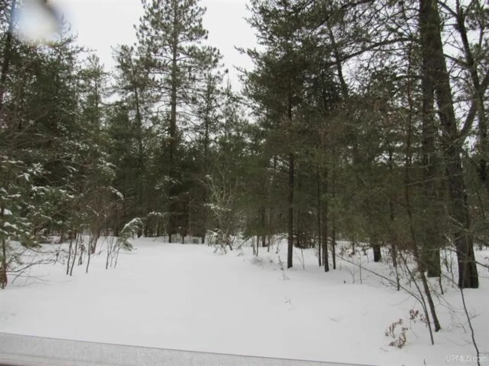 TBD FFR 2127K Road Iron River, MI 49935