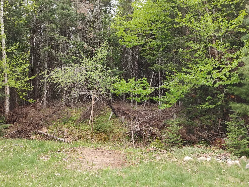 301A-301B Robinson Lake Road Iron River, MI 49935
