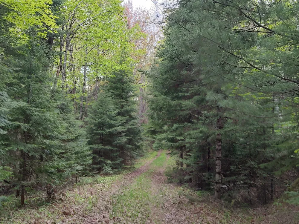 301A-301B Robinson Lake Road Iron River, MI 49935