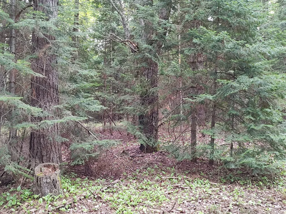 301A-301B Robinson Lake Road Iron River, MI 49935