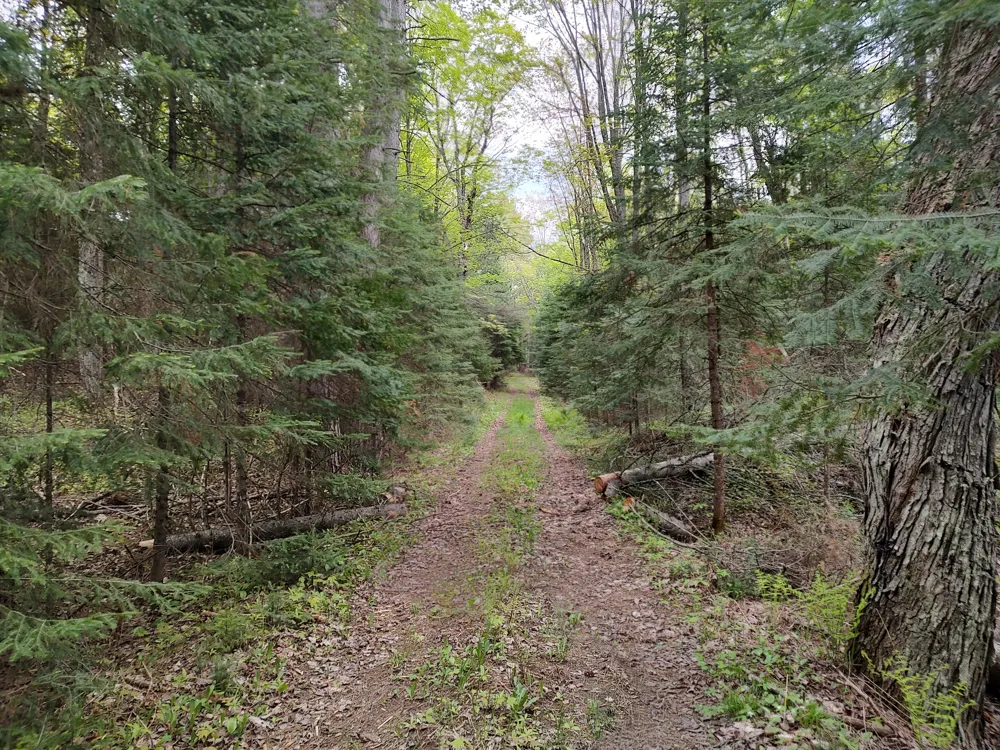 301A-301B Robinson Lake Road Iron River, MI 49935