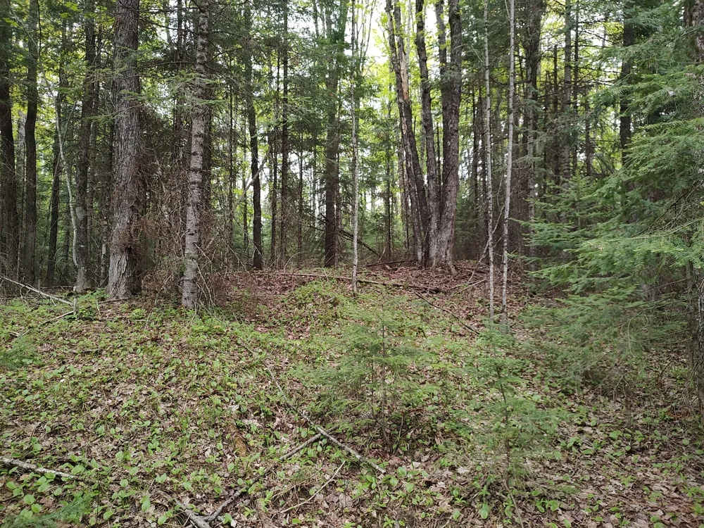 301A-301B Robinson Lake Road Iron River, MI 49935