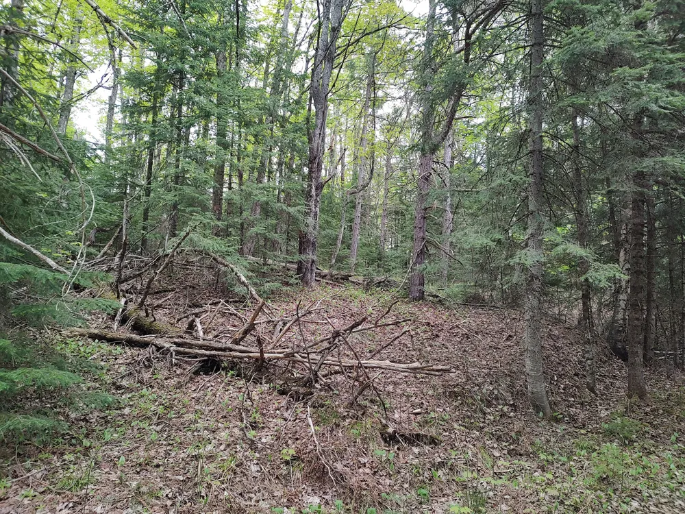 301A-301B Robinson Lake Road Iron River, MI 49935