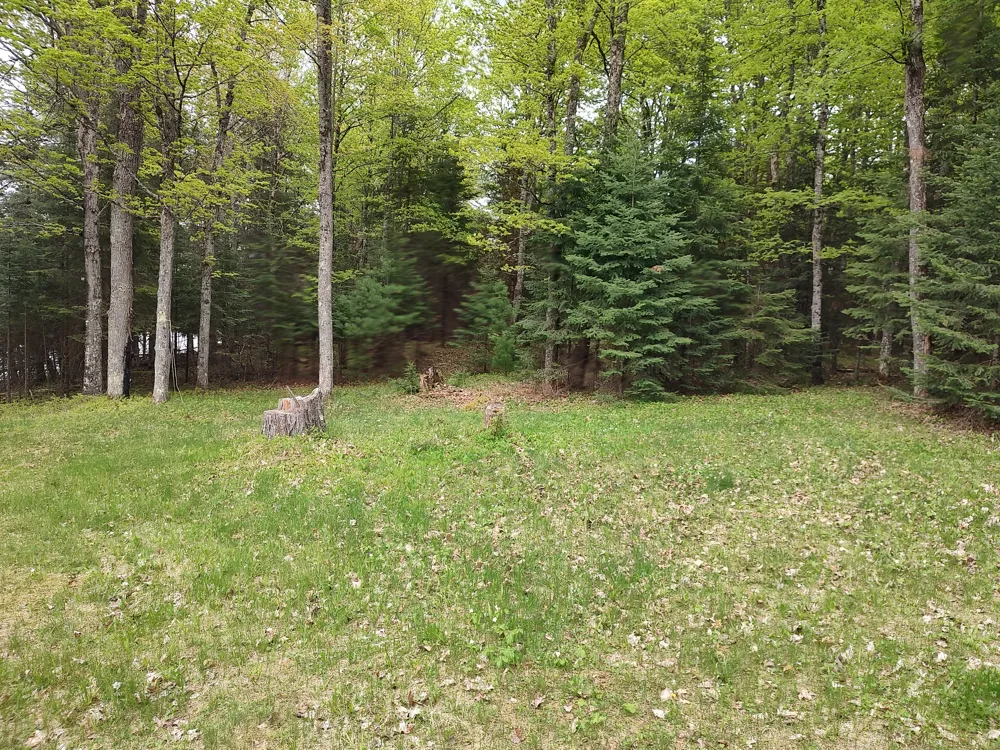 301A-301B Robinson Lake Road Iron River, MI 49935