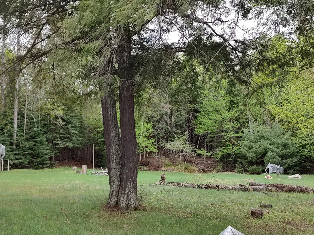 301A-301B Robinson Lake Road Iron River, MI 49935