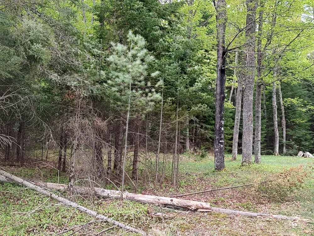 301A-301B Robinson Lake Road Iron River, MI 49935