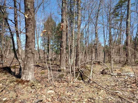 TBD Black Creek (East) Road