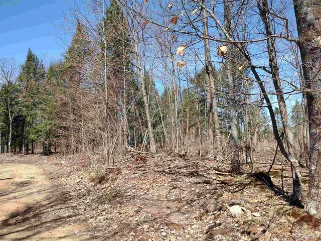 TBD Black Creek (East) Road Skanee, MI 49962