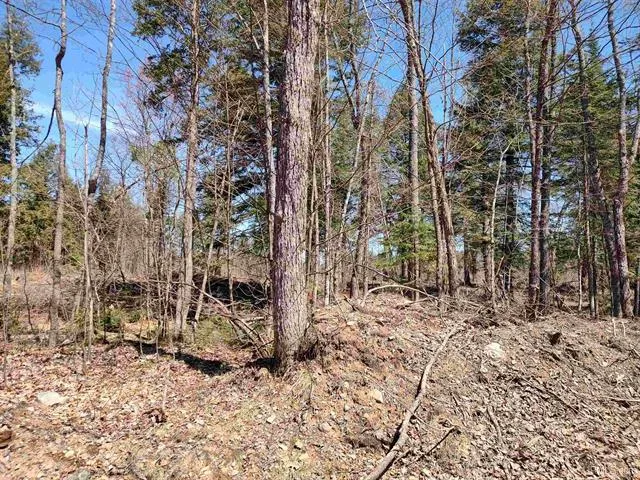 TBD Black Creek (East) Road Skanee, MI 49962
