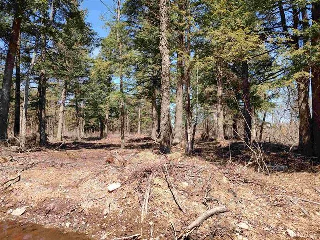 TBD Black Creek (East) Road Skanee, MI 49962