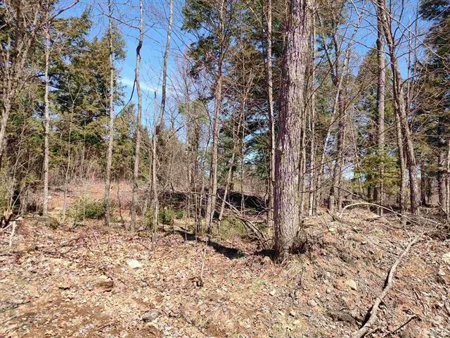 TBD Black Creek (East) Road Skanee, MI 49962