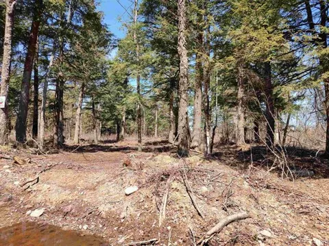 TBD Black Creek (West) Road