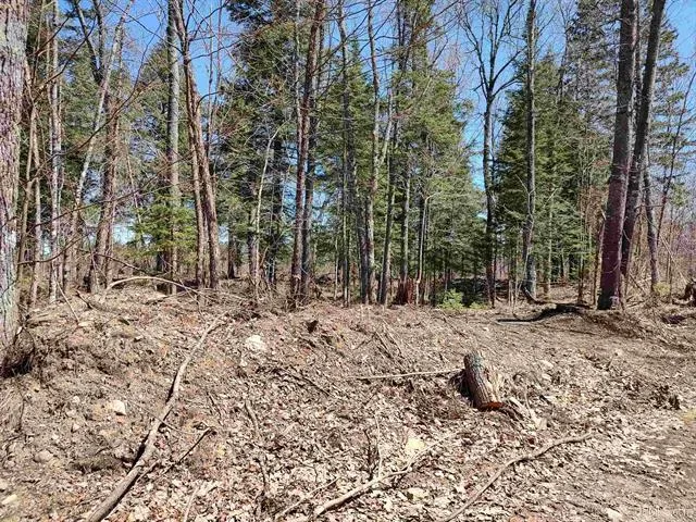 TBD Black Creek (West) Road Skanee, MI 49962