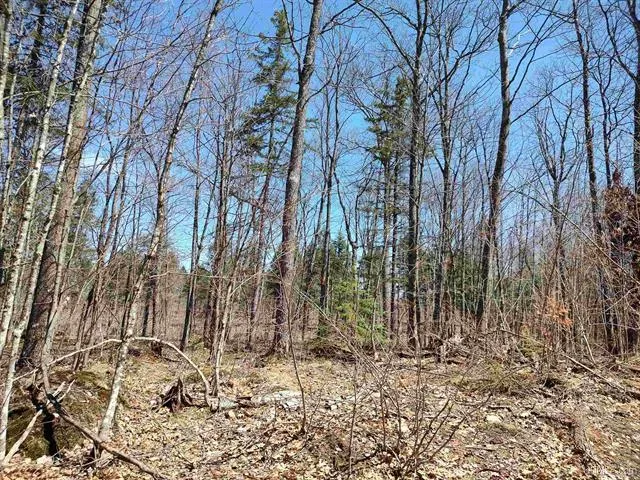 TBD Black Creek (West) Road Skanee, MI 49962