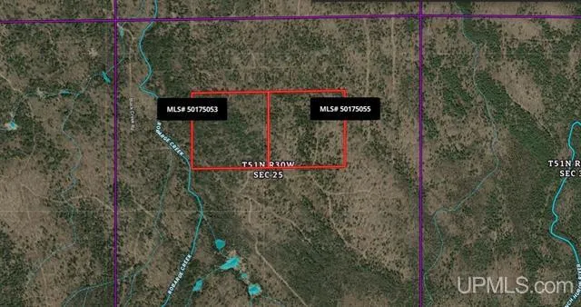 TBD Black Creek (West) Road Skanee, MI 49962
