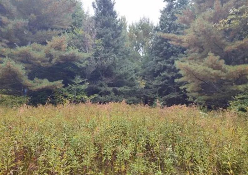 TBS S Laird Road Pelkie, MI 49958
