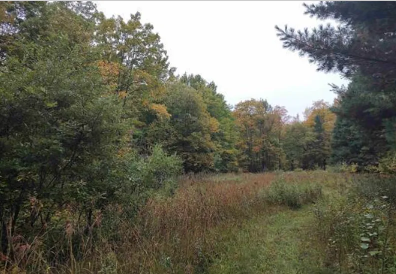 TBS S Laird Road Pelkie, MI 49958