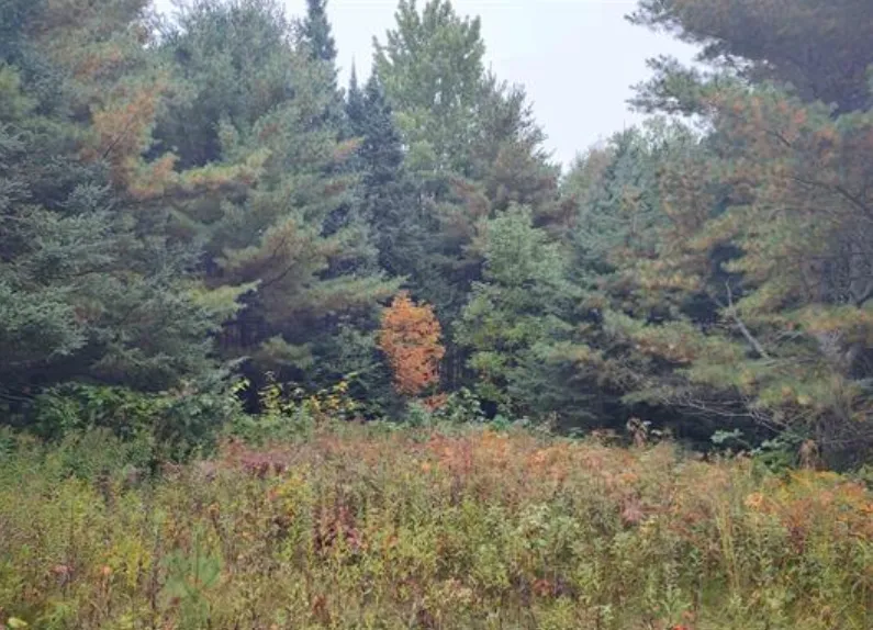 TBS S Laird Road Pelkie, MI 49958