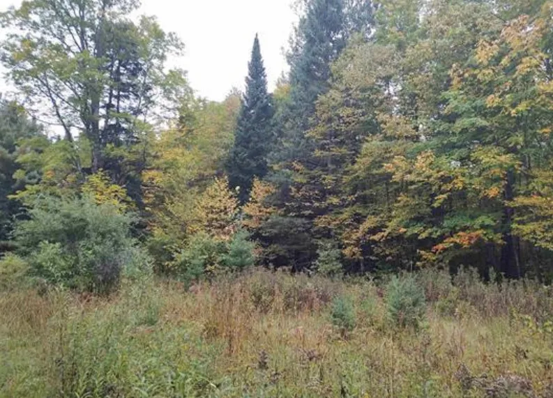 TBS S Laird Road Pelkie, MI 49958