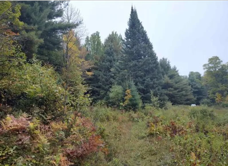 TBS S Laird Road Pelkie, MI 49958