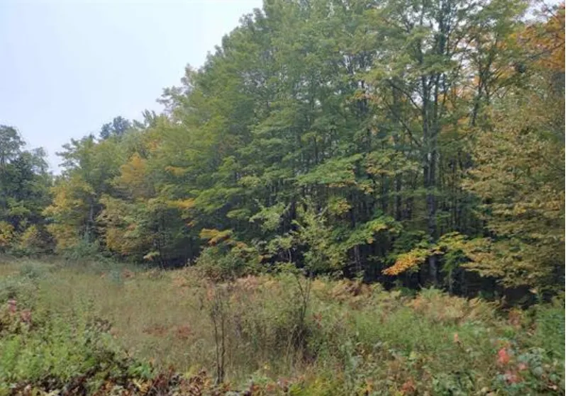 TBS S Laird Road Pelkie, MI 49958
