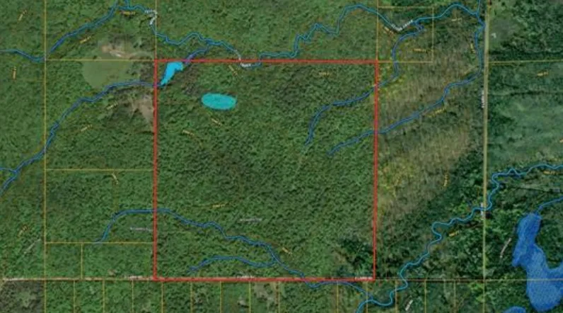 TBS S Laird Road Pelkie, MI 49958