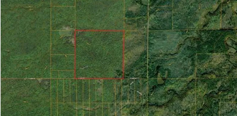 TBS S Laird Road Pelkie, MI 49958