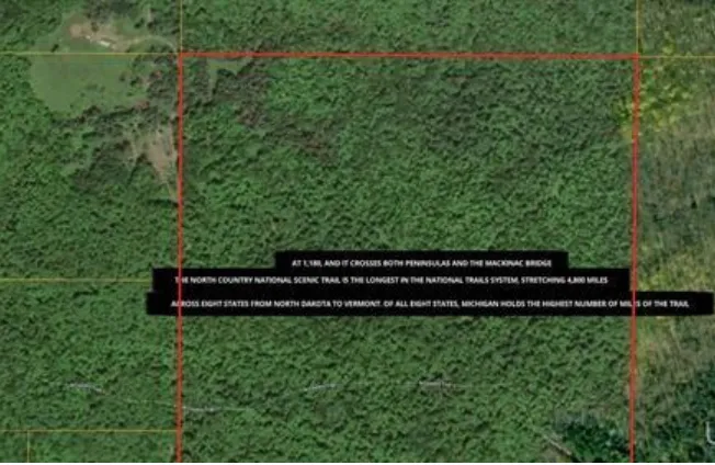 TBS S Laird Road Pelkie, MI 49958