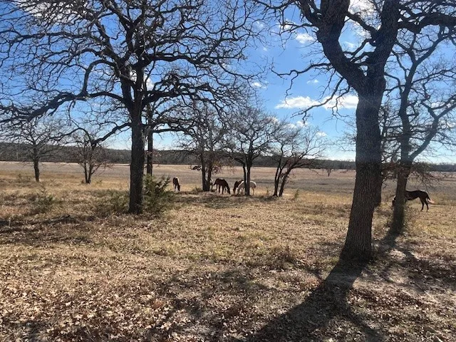 1705 County Road 122 Hico, TX 76457