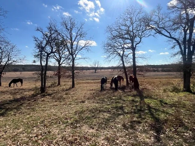 1705 County Road 122 Hico, TX 76457