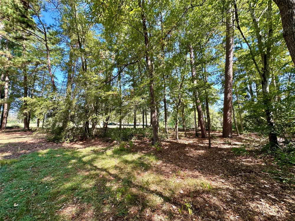Holly Trail Holly Lake Ranch, TX 75765