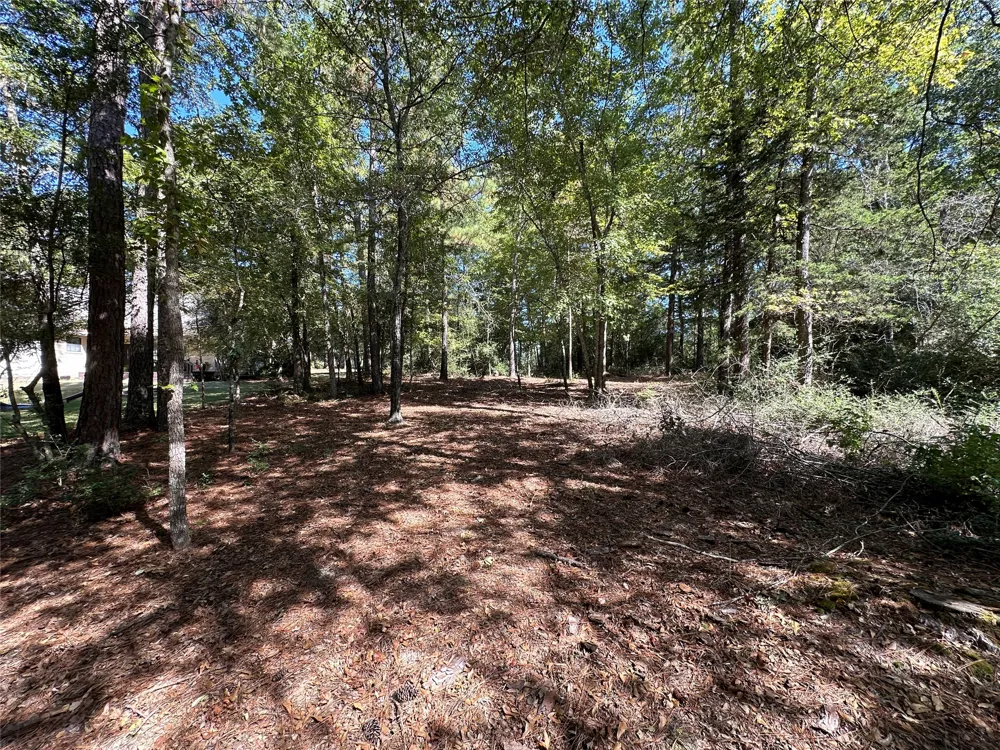 Holly Trail Holly Lake Ranch, TX 75765