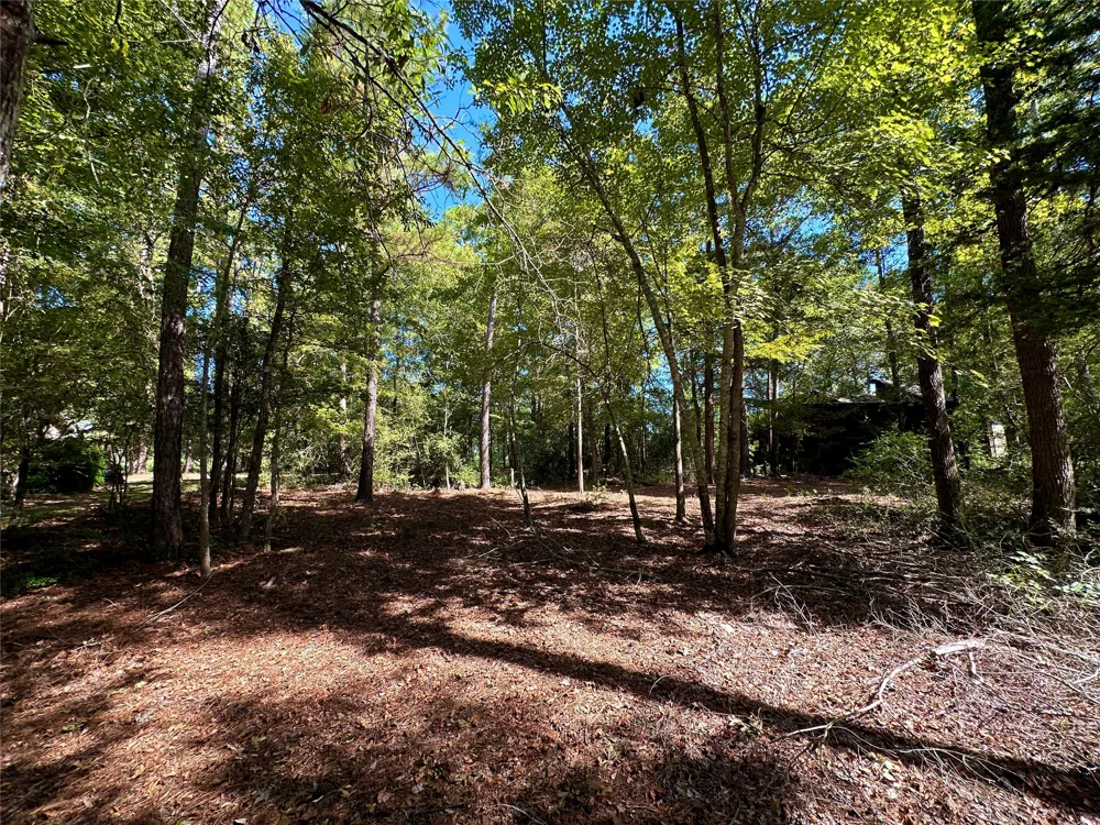 Holly Trail Holly Lake Ranch, TX 75765