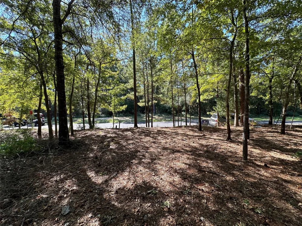 Holly Trail Holly Lake Ranch, TX 75765