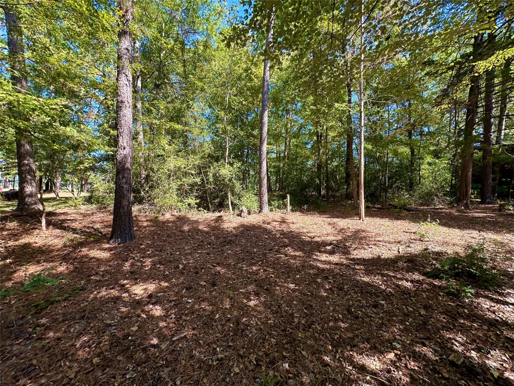 Holly Trail Holly Lake Ranch, TX 75765