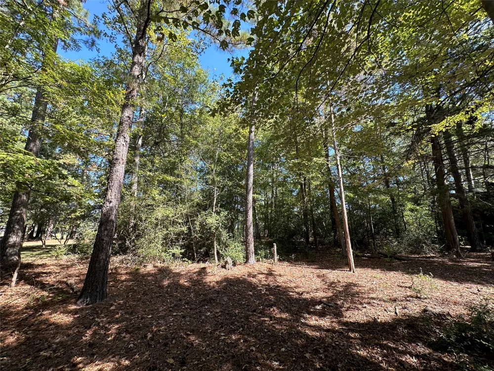 Holly Trail Holly Lake Ranch, TX 75765