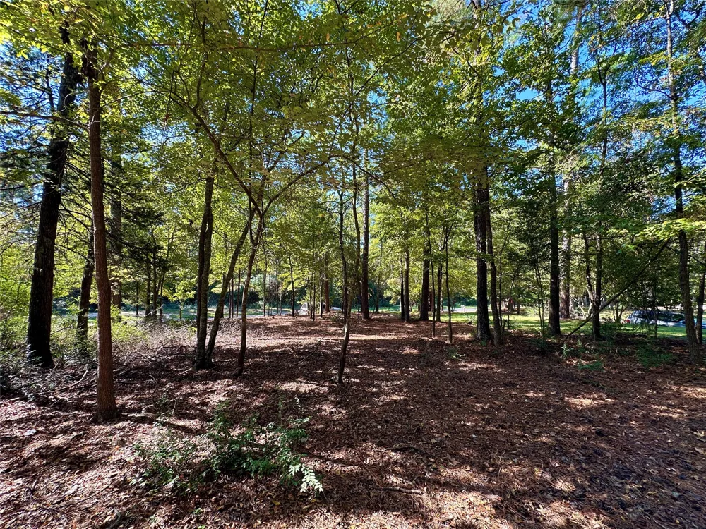 Holly Trail Holly Lake Ranch, TX 75765