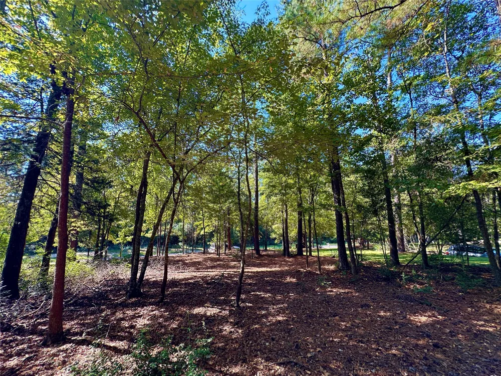 Holly Trail Holly Lake Ranch, TX 75765