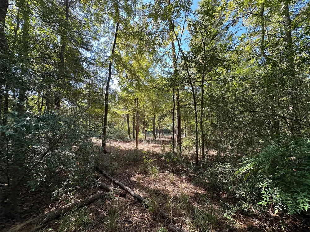 Holly Trail Holly Lake Ranch, TX 75765