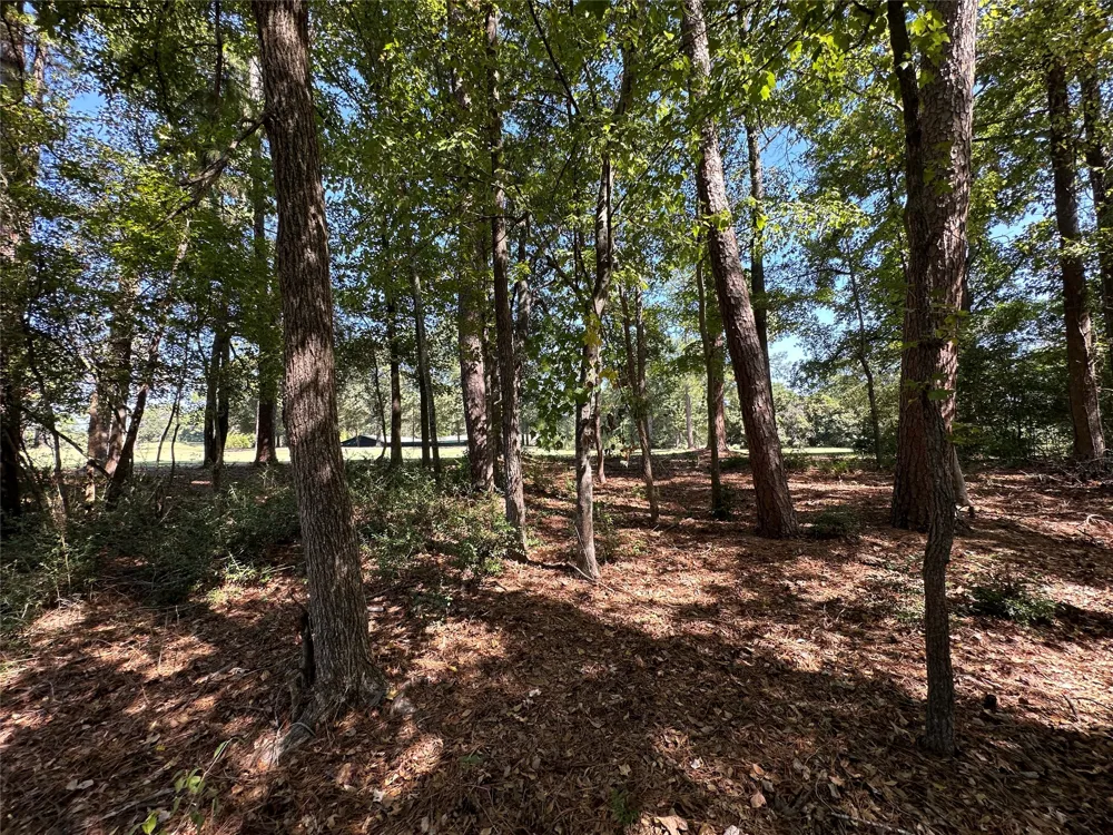 Holly Trail Holly Lake Ranch, TX 75765