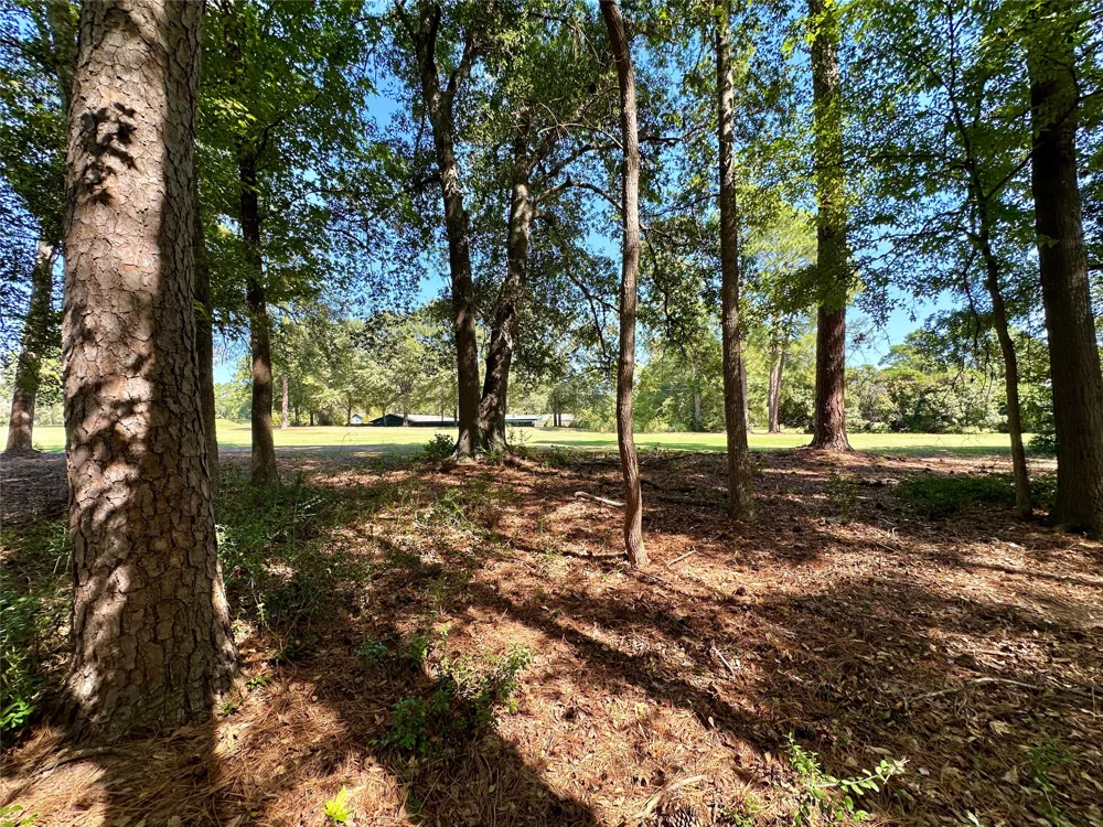 Holly Trail Holly Lake Ranch, TX 75765