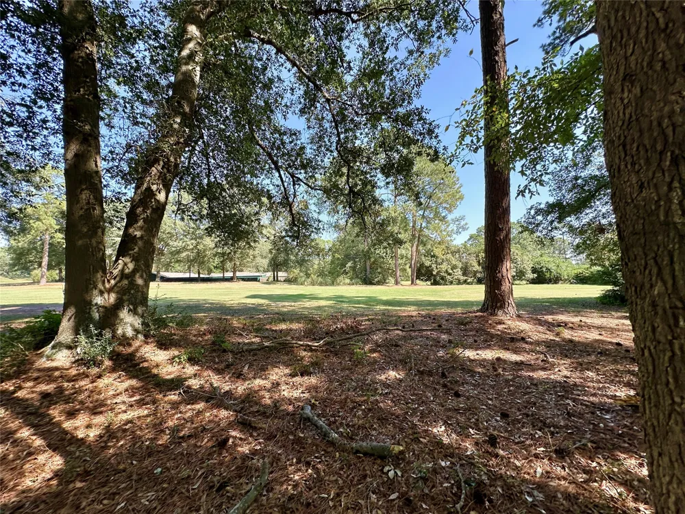 Holly Trail Holly Lake Ranch, TX 75765
