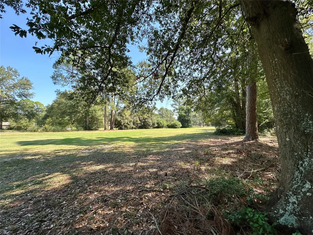Holly Trail Holly Lake Ranch, TX 75765