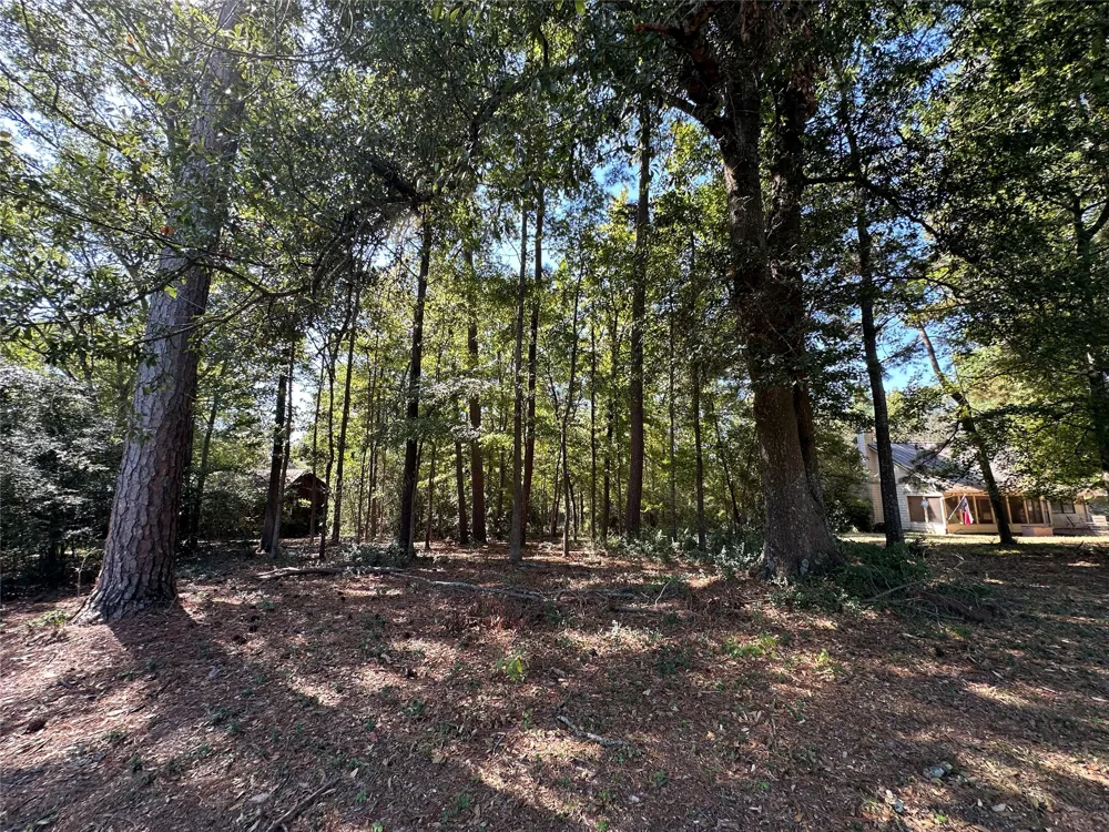 Holly Trail Holly Lake Ranch, TX 75765