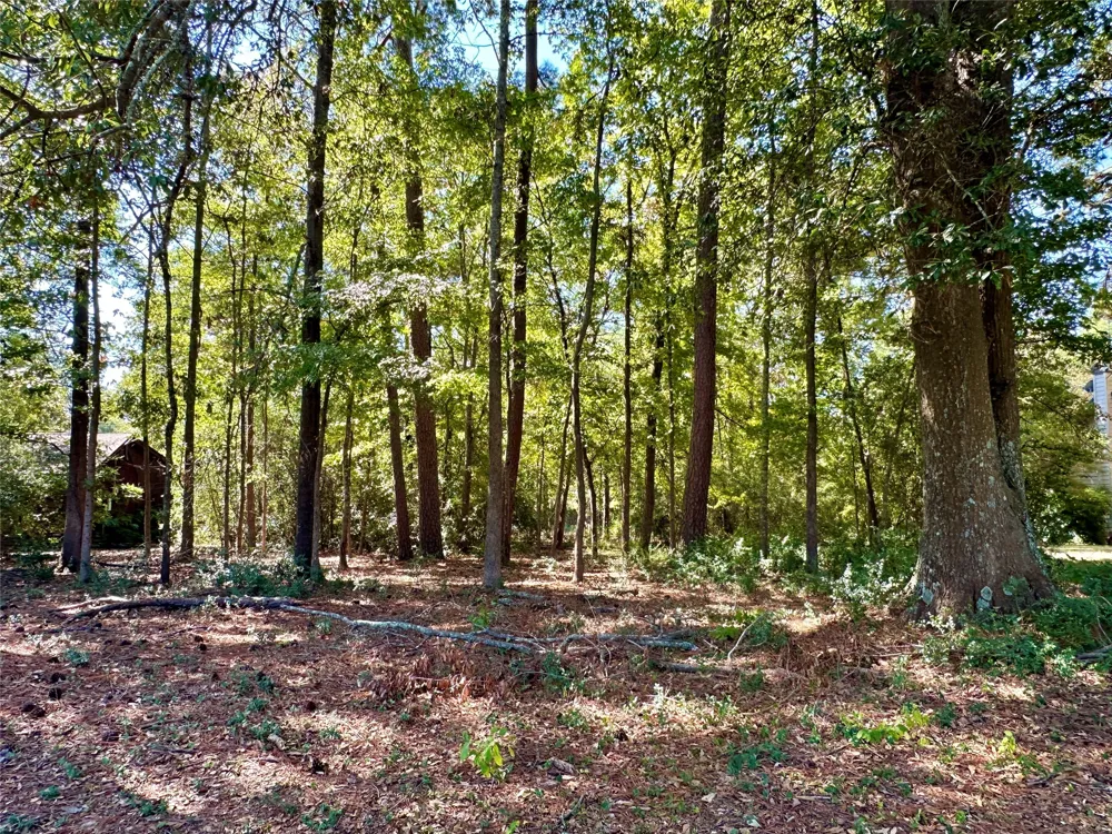 Holly Trail Holly Lake Ranch, TX 75765