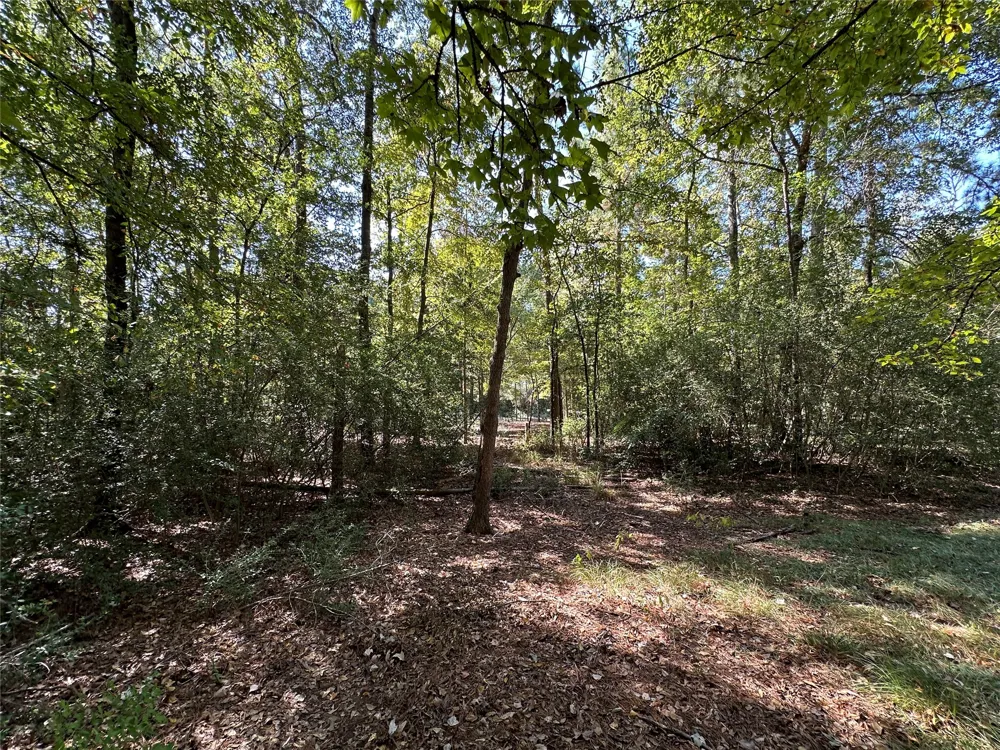 Holly Trail Holly Lake Ranch, TX 75765