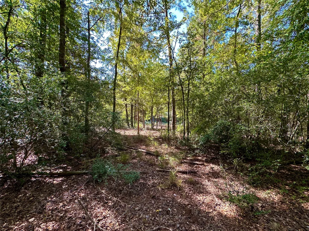 Holly Trail Holly Lake Ranch, TX 75765