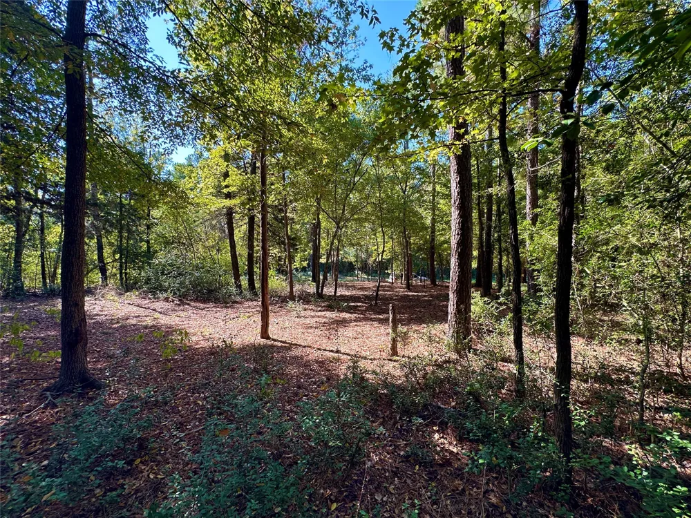 Holly Trail Holly Lake Ranch, TX 75765
