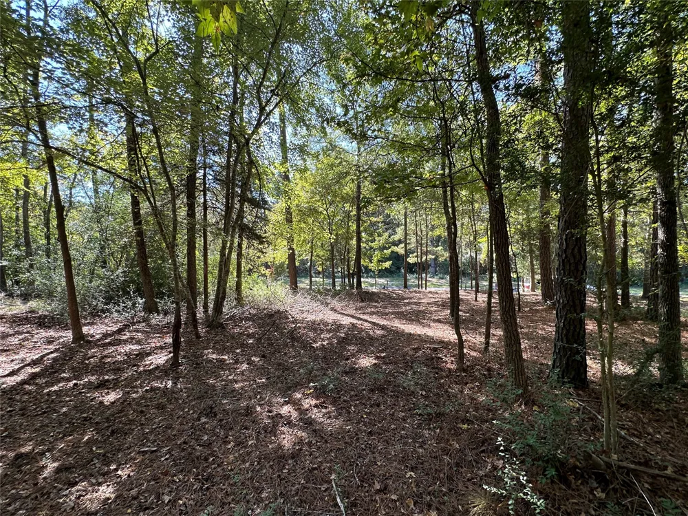 Holly Trail Holly Lake Ranch, TX 75765